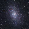 M33